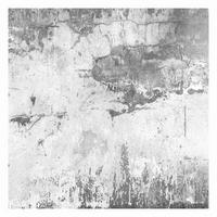 FOTOTAPETE Grunge Betonwand Grau 288/288 cm - Grau, Papier (288/288cm) - Bilderwelten