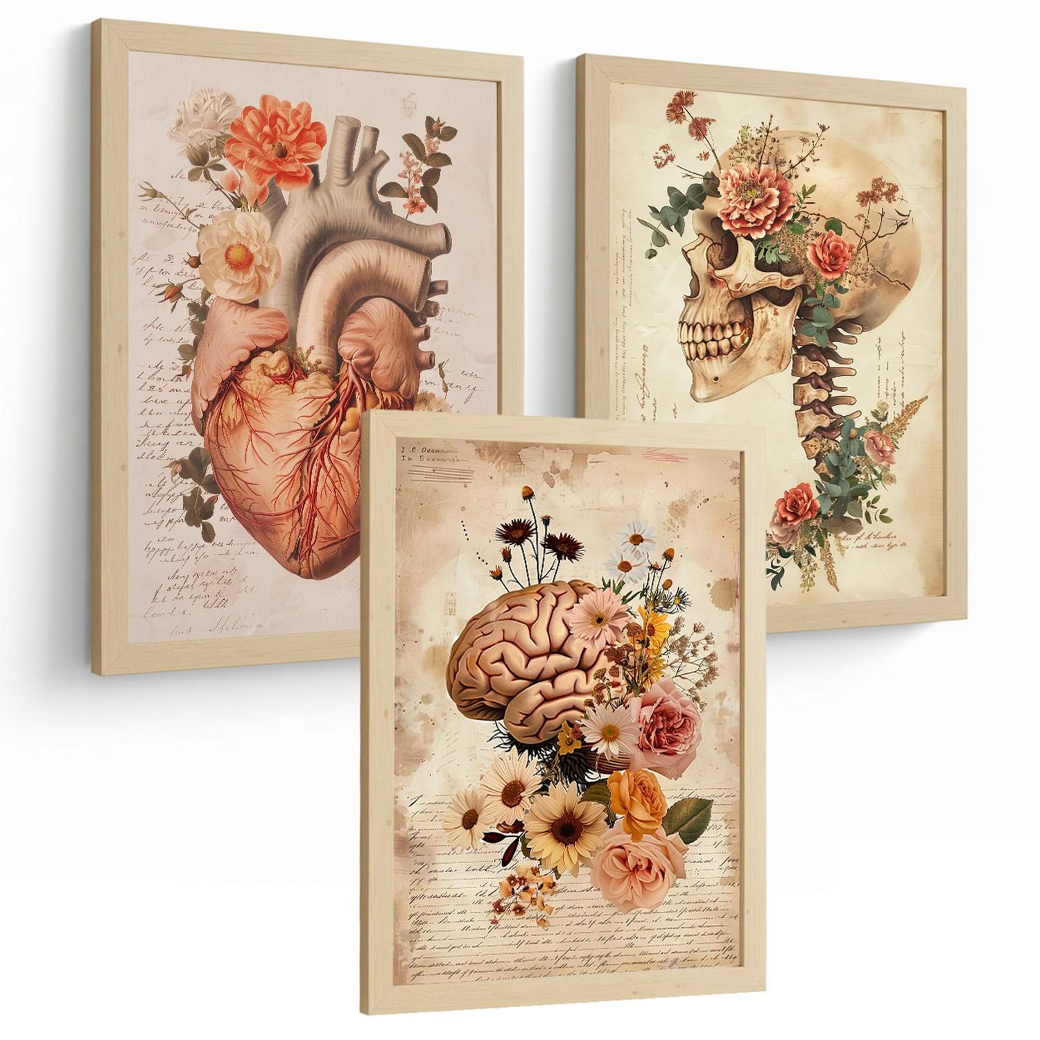 POSTER Set aus 3 Anatomie Mensch Drucke und Wandbilder mit Herz Gehirn und Schädel Vintage Floraler Stil Wanddekoration Größe Leichter Holzrahmen A4 - Beige, Papier (21/29.7/3cm) - Nacnic