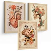 POSTER Set aus 3 Anatomie Mensch Drucke und Wandbilder mit Herz Gehirn und Schädel Vintage Floraler Stil Wanddekoration Größe Leichter Holzrahmen A3 - Beige, Papier (29.7/42/3cm) - Nacnic