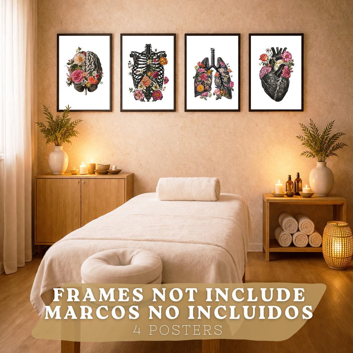 POSTER Set aus 4 Anatomie Drucke und Dekorative mit Gehirn Herz Lungen Atmungssystem Rippen Wirbelsäule Modernes Florales Größe Rahmenlos A3 - Klar, Papier (29.7/42/3cm) - Nacnic