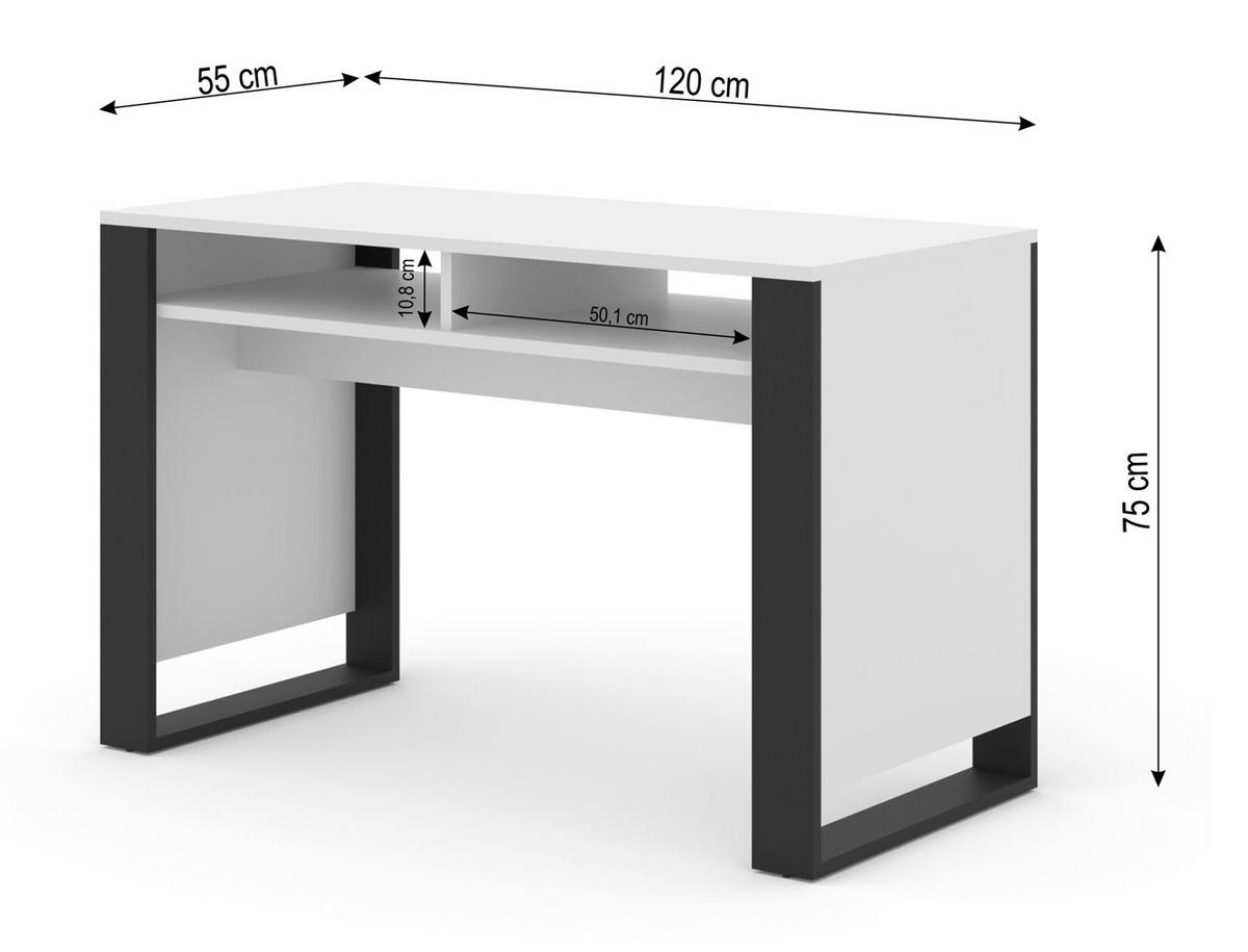 SCHREIBTISCH Weiß, Schwarz 120/75/55 - Schwarz/Weiß, Holzwerkstoff (90/50/75cm) - RAUMHIRSCH FURNITURE