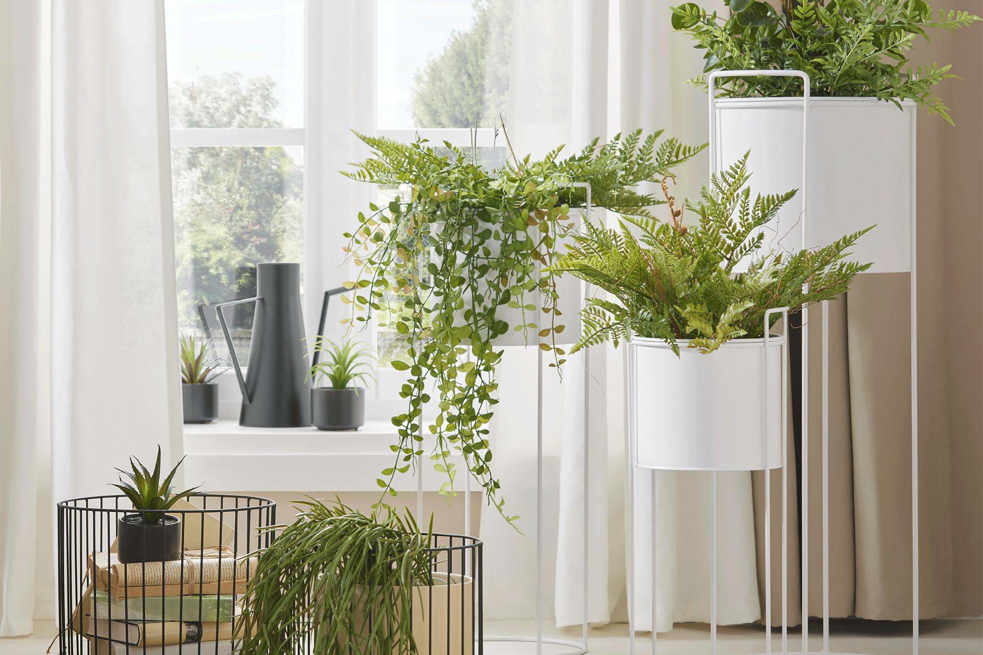 indoor-greening-uebertoepfe.png