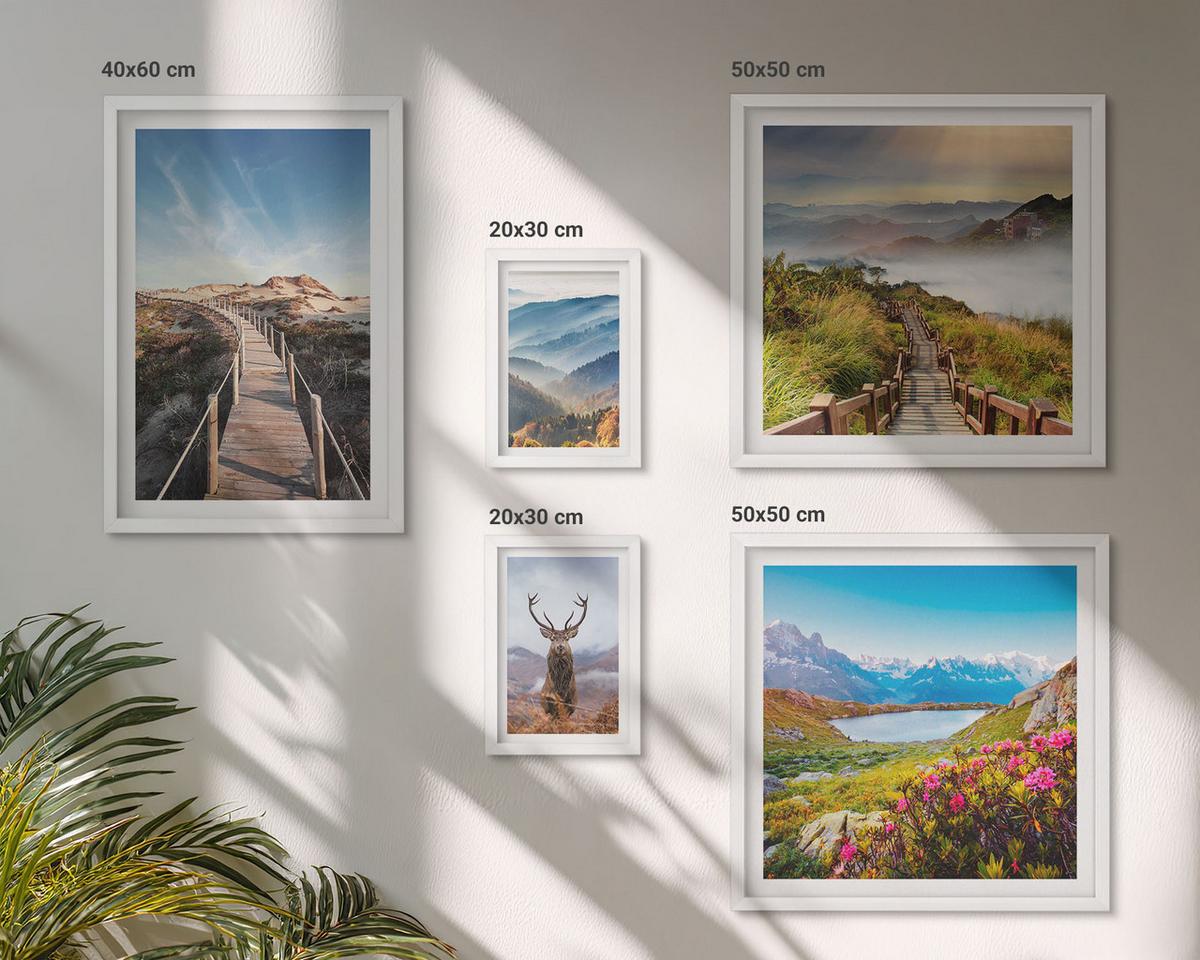 BILDER SET 5er Set - 50x50 cm & 20x30 cm & 40x60 cm Weißer Rahmen - Berglandschaft, See, Hirsche - Weiß, Kunststoff (40/60cm) - TULUP