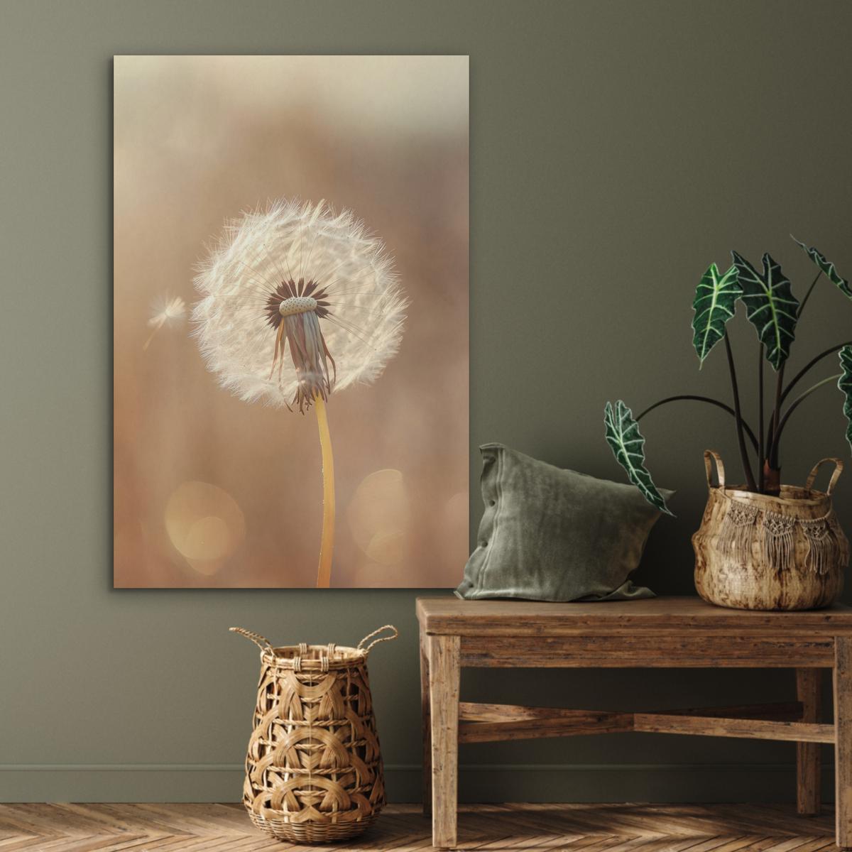 AKUSTIKBILD Löwenzahn - Beige - Natur - Blume Wanddeko 70x100 cm - Hellbraun, Kunststoff (70/100/0.9cm) - MuchoWow