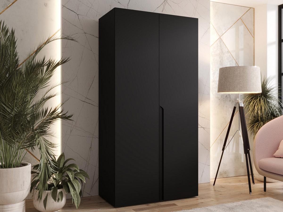 DREHTÜRENSCHRANK Mila I 100 - Schwarz, Holzwerkstoff/Kunststoff (100/202/52cm) - MIRJAN24