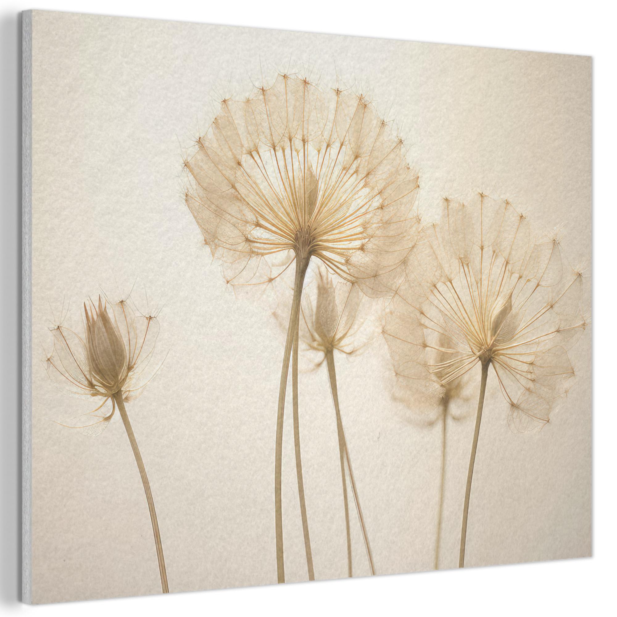 AKUSTIKBILD Sonnenlicht - Löwenzahn - Botanisch - Blumen Wandbild Wohnzimmer 100x70 cm - Creme, Kunststoff (100/70/0.9cm) - MuchoWow