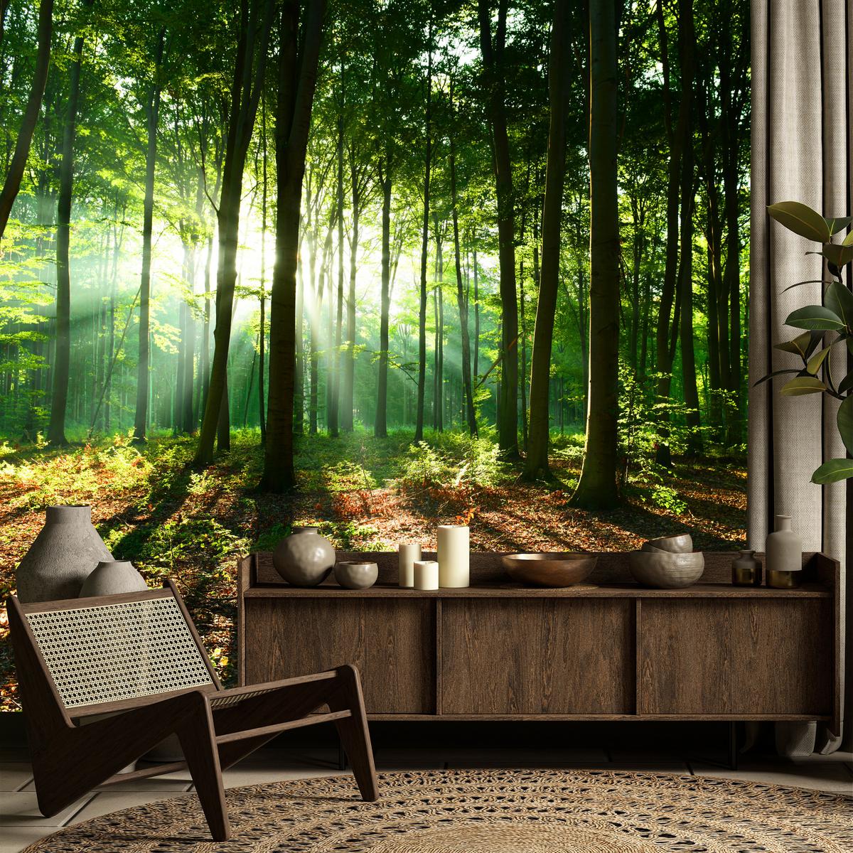 FOTOTAPETE für Wohnzimmer Sonnenstrahlen Wald Bäume Blätter 500x350 - Beige/Braun, Papier (500/350cm) - Muralo