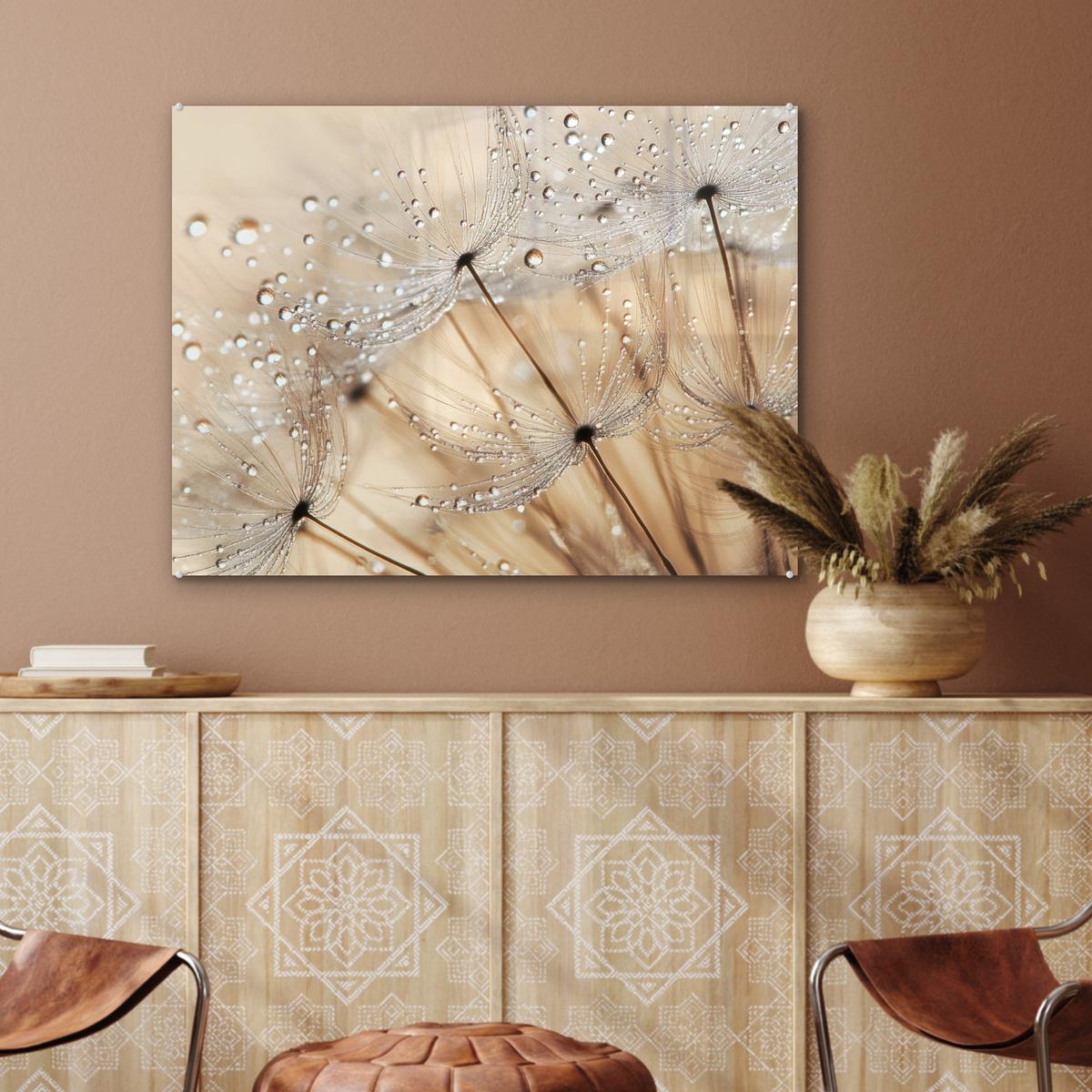 ACRYLGLASBILD Löwenzahn - Abstrakt - Natur - Beige 80x60 cm - Braun, Glas (80/60cm) - MuchoWow