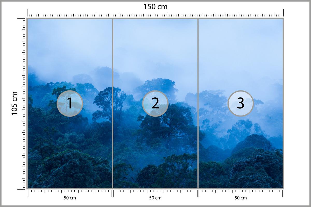 FOTOTAPETE für Wohnzimmer Tropischer Laubwald Nebel Dschungel 150x105 - Schwarz, Papier (150/105cm) - Muralo
