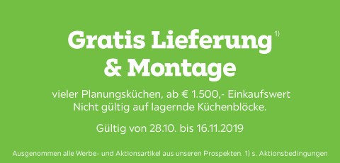 Aktionsbedingungen Aktionsbedingungen