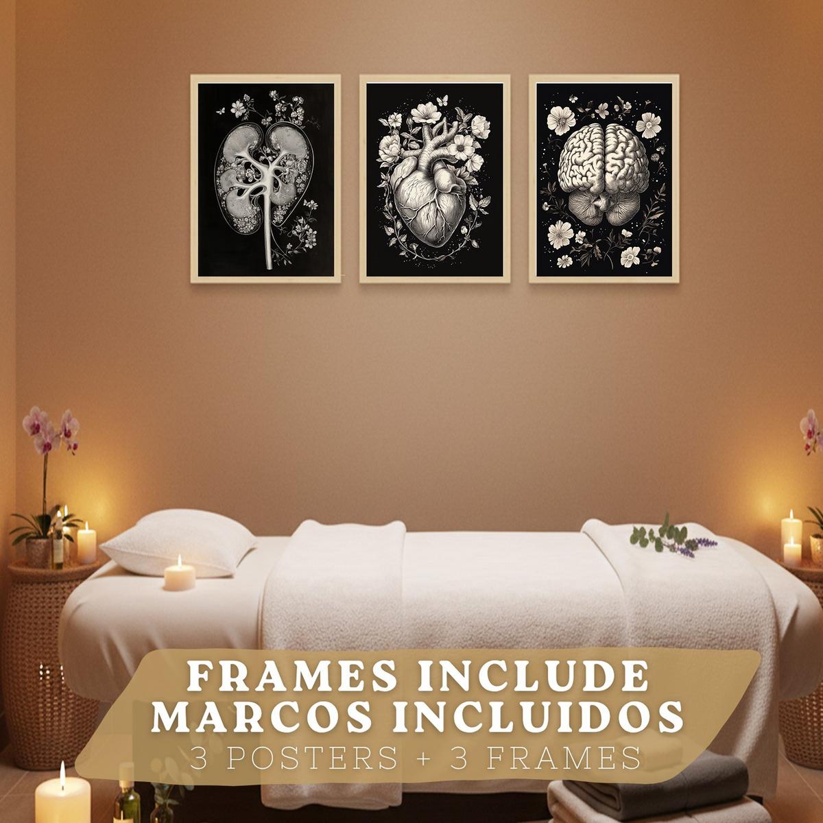 POSTER Set aus 3 Anatomie Mensch Drucke und mit Niere Harnsystem Gehirn und Herz Klassisches Schwarz Weiß Design Größe Leichter Holzrahmen A4 - Beige, Papier (21/29.7/3cm) - Nacnic