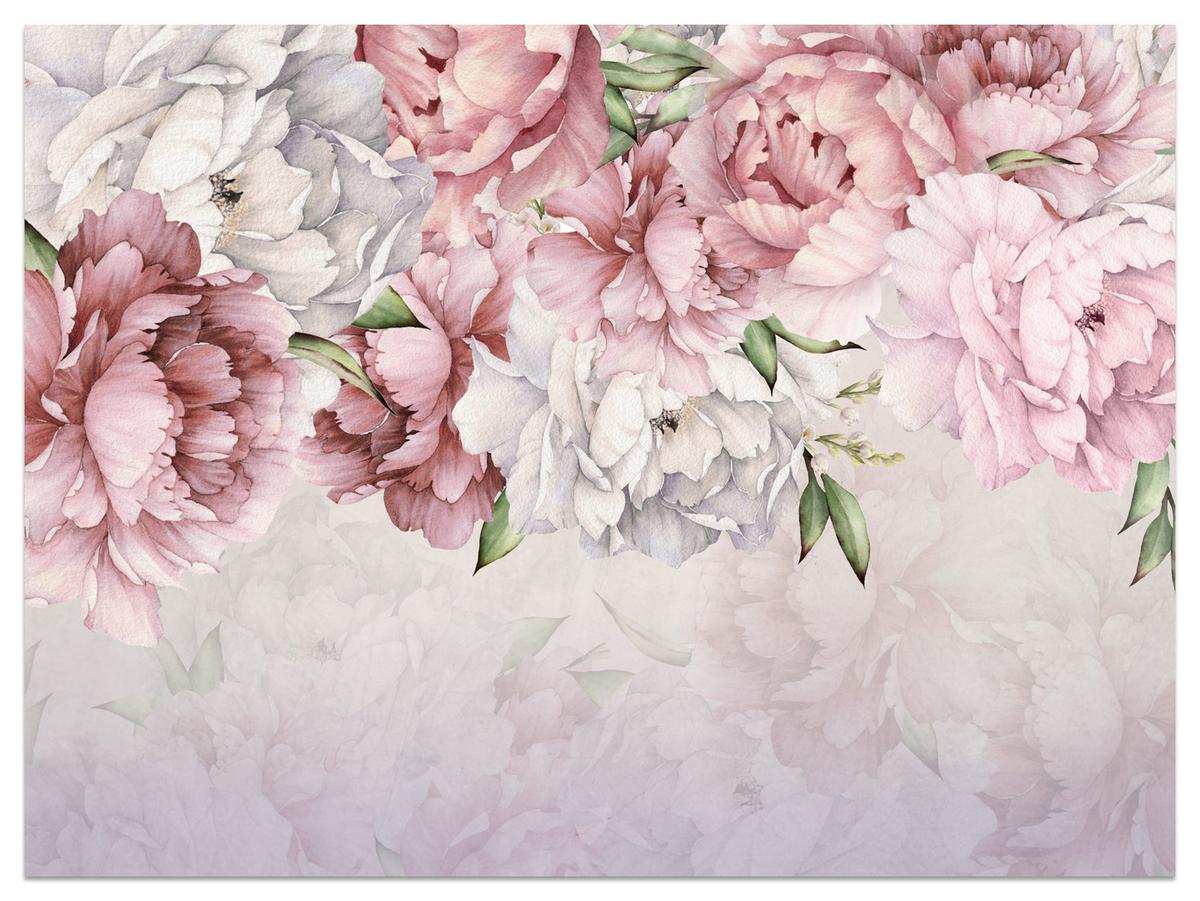 FOTOTAPETE für Badezimmer Zarte Rosa Pfingstrosen Blumen 200x140 - Violett/Rosa, Papier (200/140cm) - Muralo