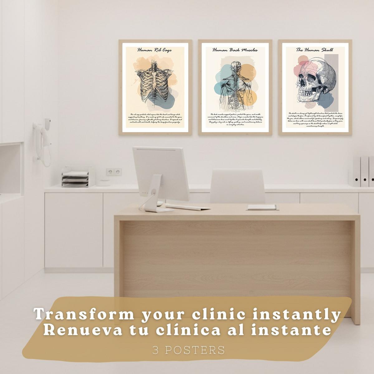POSTER Set aus 3 Anatomie Mensch Lernposter Drucke und Wandbilder mit Muskeln Rücken Brustkorb Schädel Wanddekoration Größe Leichter Holzrahmen A4 - Beige, Papier (21/29.7/3cm) - Nacnic