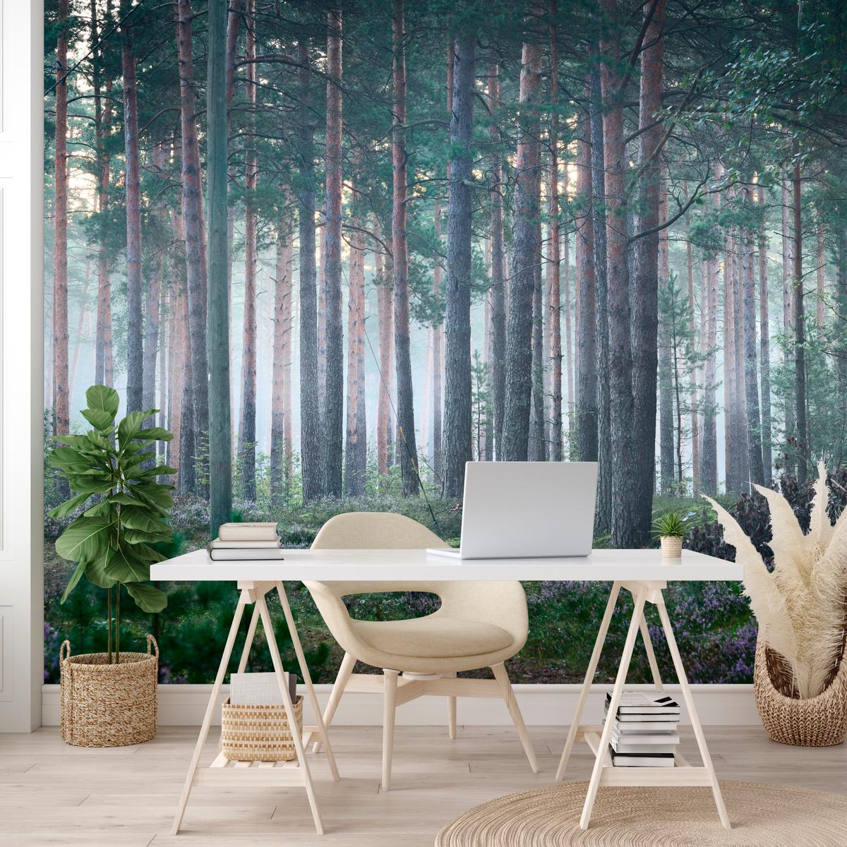 FOTOTAPETE für Wohnzimmer Nebelwald mit Bäumen Moos Grün 450x315 - Grau/Grün, Papier (450/315cm) - Muralo