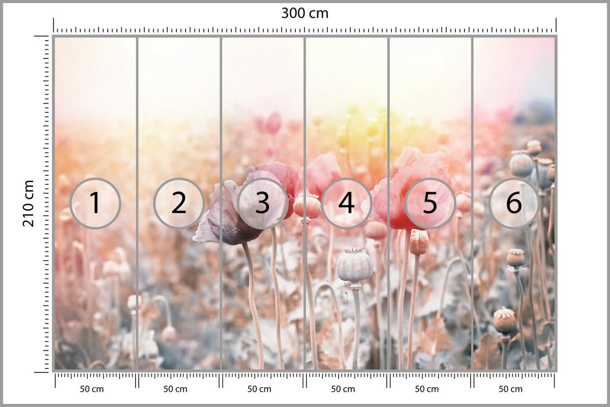 FOTOTAPETE für Wohnzimmer Mohnfeld Wiese Sonnenaufgang Natur 300x210 - Gelb/Rot, Papier (300/210cm) - Muralo