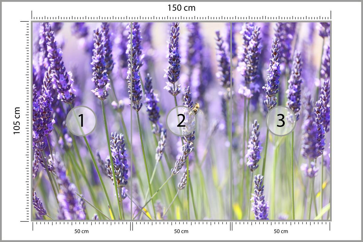 FOTOTAPETE für Küche Lavendelwiese Blumen Kräuter 150x105 - Violett/Grün, Papier (150/105cm) - Muralo