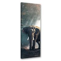 WANDBILD elefant im dschungel - Grau, Textil (30/90cm) - Feeby