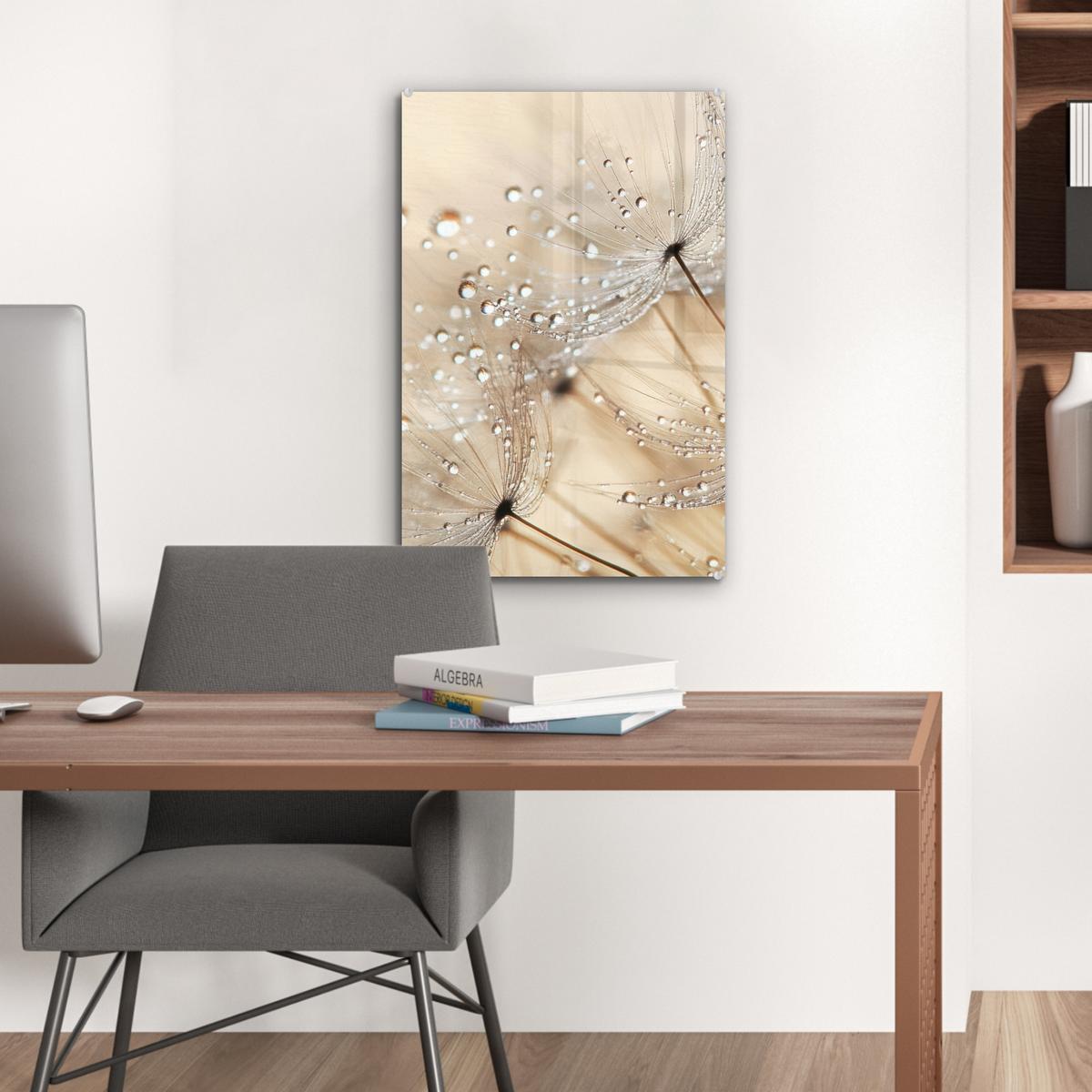 ACRYLGLASBILD Löwenzahn - Abstrakt - Natur - Beige Wanddeko Wohnzimmer 40x60 cm - Braun, Glas (40/60cm) - MuchoWow