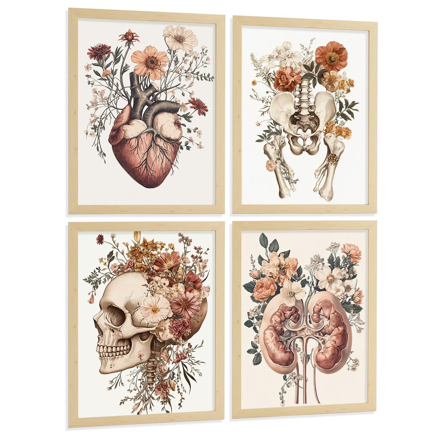 POSTER Set aus 4 Anatomie Drucke und Wandbilder mit Herz Nieren Schädel und Becken Botanischer Stil Wanddekoration Größe Leichter Holzrahmen A3 - Beige, Papier (29.7/42/3cm) - Nacnic