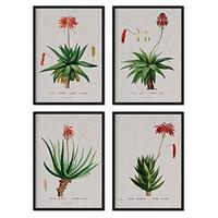 POSTER Set mit 4 mit rotem Blumenfilmen aus dem Künstler PierreJoseph Redouté A3 Schwarzer Rahmen - Schwarz, Papier (29.7/3cm) - Nacnic