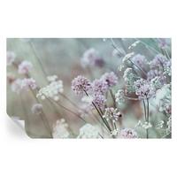FOTOTAPETE 416x254 cm - Wildblumen - Weiß, Textil (416/254cm) - Wallfluent
