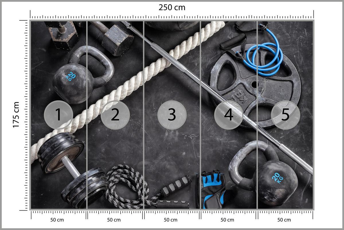 FOTOTAPETE für Fitnessstudio Sportgeräte zum Trainieren Kettlebells Hanteln 250x175 - Blau/Creme, Papier (250/175cm) - Muralo