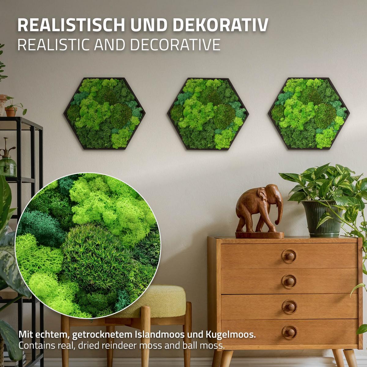 MOOSBILD Hexagon 38x34 cm Mooswand Indoor mit echtem echtem Kugelmoos-Islandmoos-Flachmoos-Mix und Holzrahmen Grün - Waldgrün, Naturmaterialien (38/34/3.4cm) - ECD-Germany