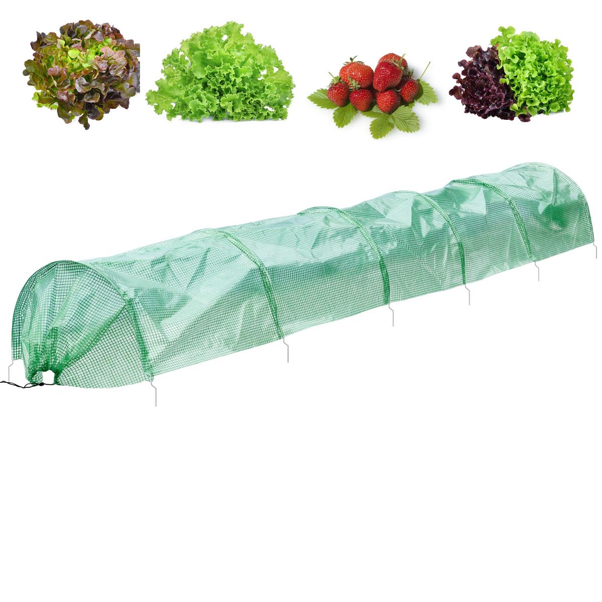 FOLIENTUNNEL 2er Set 300x55x35 cm 3m Transparent/Grün aus PE - Grün, Kunststoff (55/35/300cm) - ECD-Germany