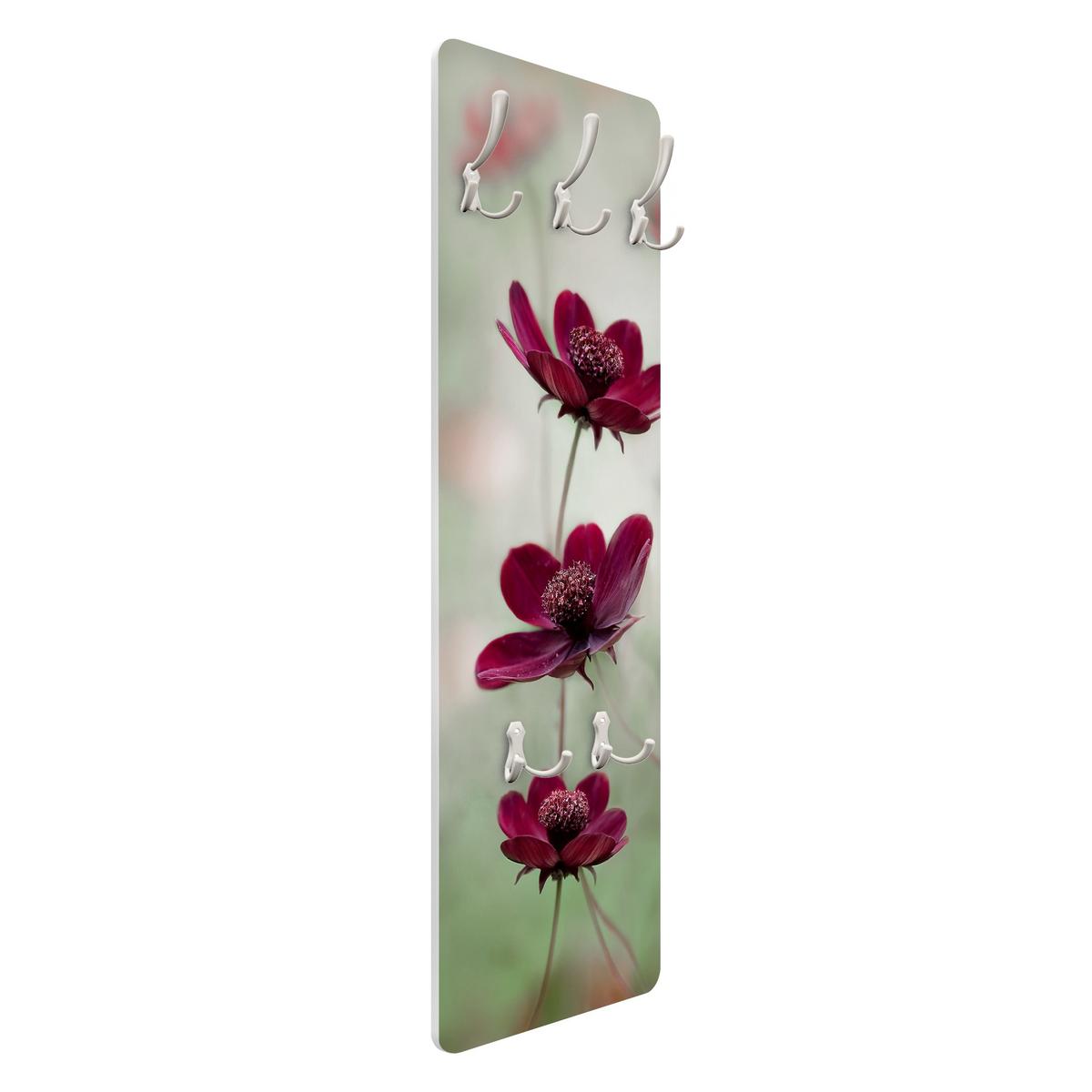 WANDGARDEROBE - Pinke Kosmeen 34/105 cm - Violett, Holzwerkstoff (34/105/1.6cm) - Bilderwelten