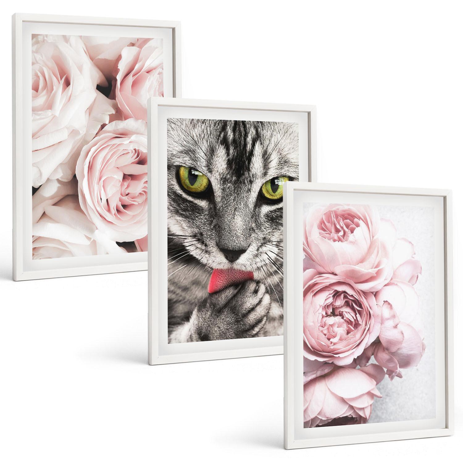 BILDER SET 3er Set - 40x60 cm Weißer Rahmen - Katze in rosa Blumen - Weiß, Kunststoff (40/60cm) - TULUP