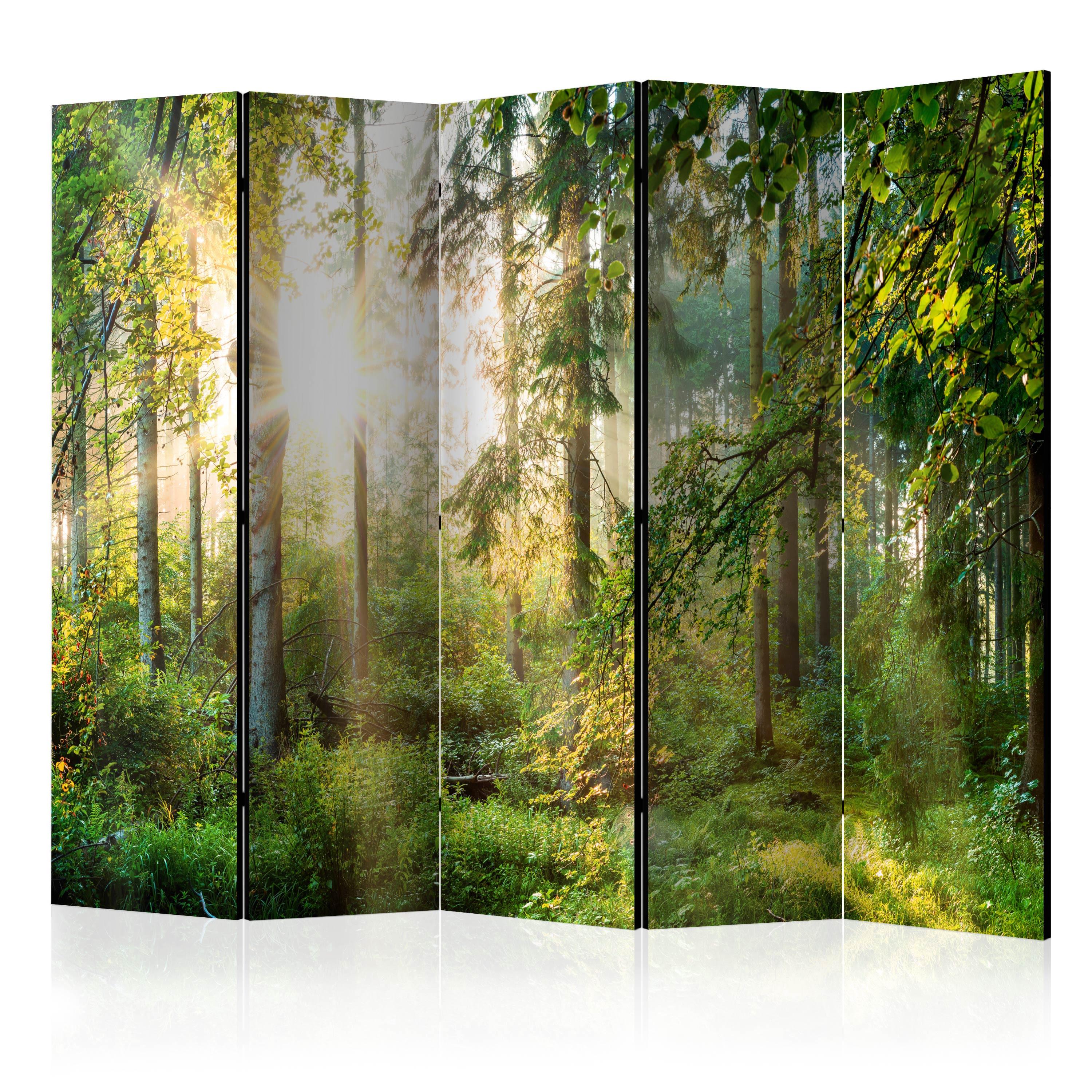 PARAVENT Beidseitig Bedruckter 5-tlg 225x172 cm Wald Beim Sonnenaufgang - Grün, Holz/Textil (225/172/3cm) - Muralo