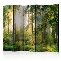 PARAVENT Einseitig Bedruckter 5-tlg 225x172 cm Wald Beim Sonnenaufgang - Grün, Holz/Textil (225/172/3cm) - Muralo