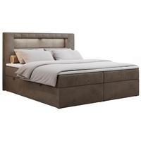 BOXBETT GOLD-5 LED 140/200 Braun Velvet - H3 - Braun, Holz/Textil (140/200cm) - MKS