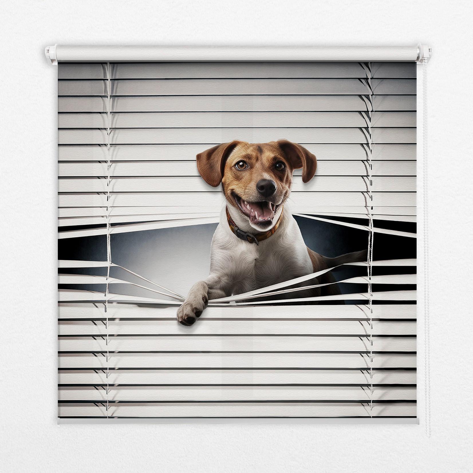 INNENROLLO - Fensterrollo - Rollo - 70x140 cm - Hund - Grau, Kunststoff (70/140/0.5cm) - TULUP