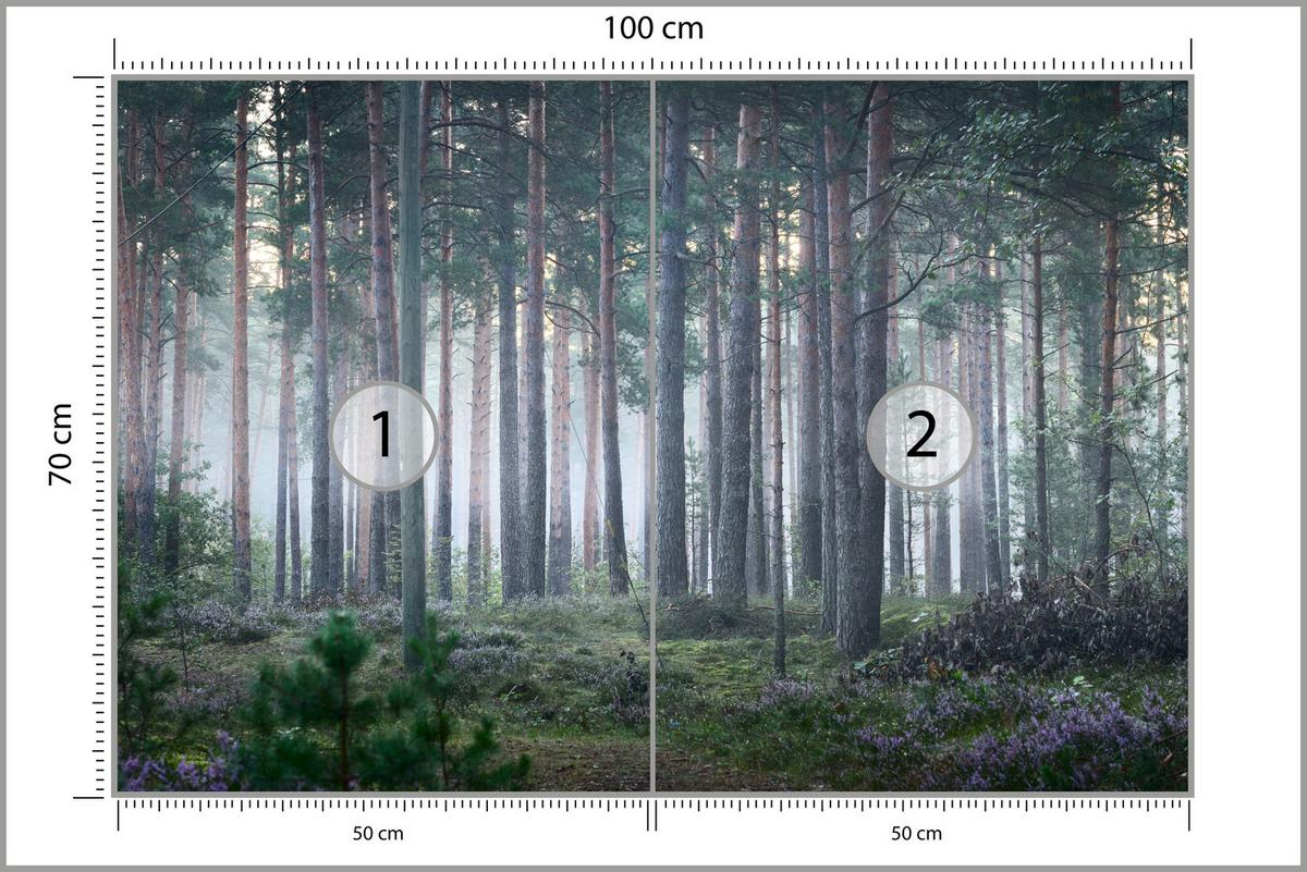 FOTOTAPETE für Wohnzimmer Nebelwald mit Bäumen Moos Grün 100x70 - Grau/Grün, Papier (100/70cm) - Muralo