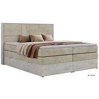 BOXSPRINGBETT DELNOR KING 140/200 - Beige Velvet - Topper Visco - H3 - Beige/Schwarz, Kunststoff/Textil (140/200cm) - MKS