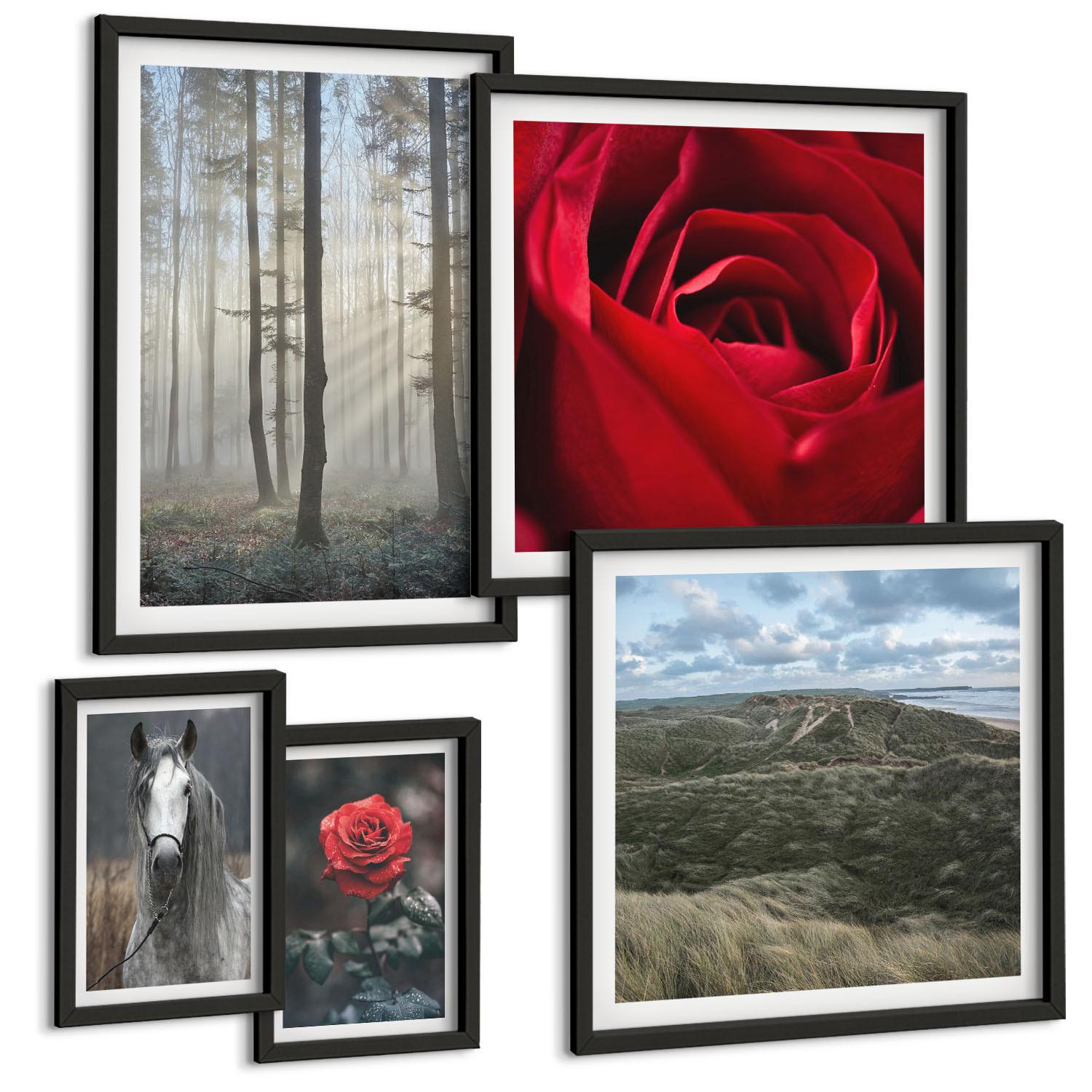 BILDER SET 5er Set - 50x50 cm & 20x30 cm & 40x60 cm Schwarzer Rahmen - Rote Rosen auf pferdegrauem Hintergrund - Schwarz, Kunststoff (40/60cm) - TULUP