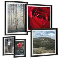 BILDER SET 5er Set - 50x50 cm & 20x30 cm & 40x60 cm Schwarzer Rahmen - Rote Rosen auf pferdegrauem Hintergrund - Schwarz, Kunststoff (40/60cm) - TULUP