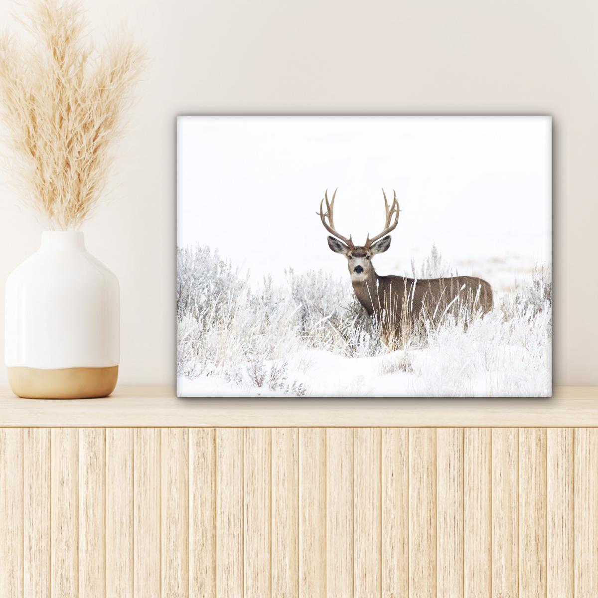 LEINWANDBILD Hirsche - Winter - Schnee - Tiere - Jahreszeiten - Weiß Wandbild 40x30 cm - Hellbraun, Textil (40/30cm) - MuchoWow