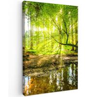 LEINWANDBILD Wald - Landschaft - Wasser - Bäume - Sonne - Grün - Natur Deko Wohnzimmer 20x30 cm - Grün, Textil (20/30cm) - MuchoWow