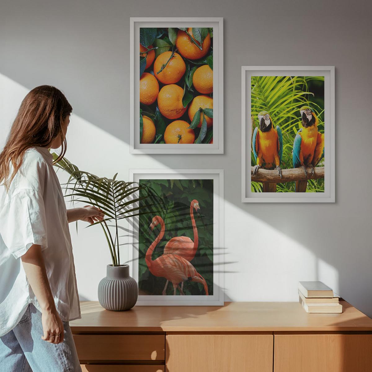 BILDER SET 3er Set - 40x60 cm Weißer Rahmen - Fruchtige Akzente in den Tropen - Weiß, Kunststoff (40/60cm) - TULUP