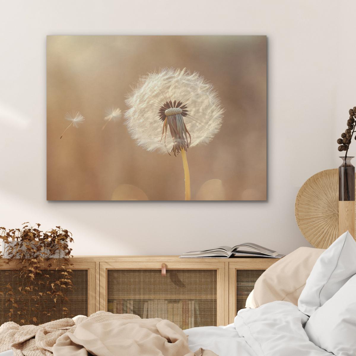 AKUSTIKBILD Löwenzahn - Beige - Natur - Blume Gemälde 80x60 cm - Hellbraun, Kunststoff (80/60/0.9cm) - MuchoWow