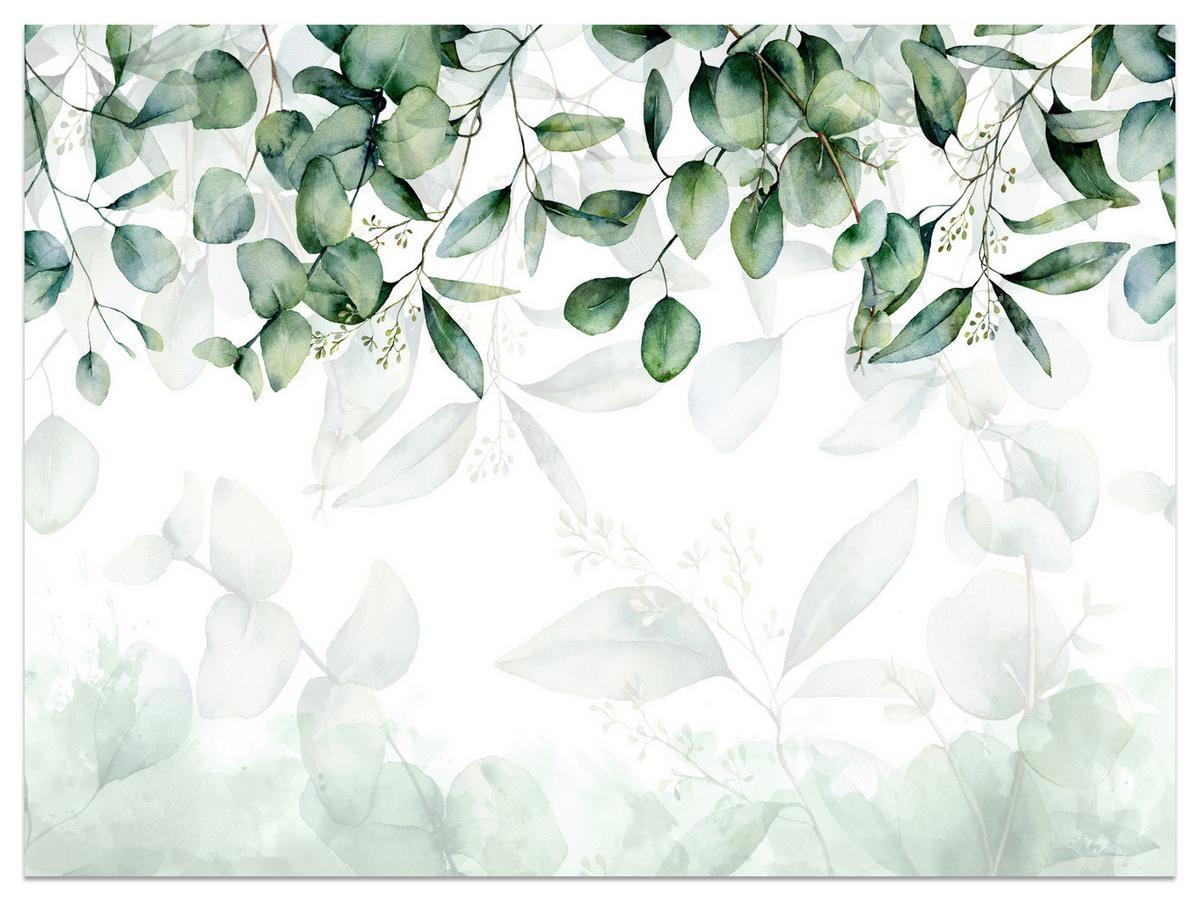 FOTOTAPETE Eukalyptus Blätter Pflanzen Natur 450x315 - Weiß/Grün, Papier (450/315cm) - Muralo