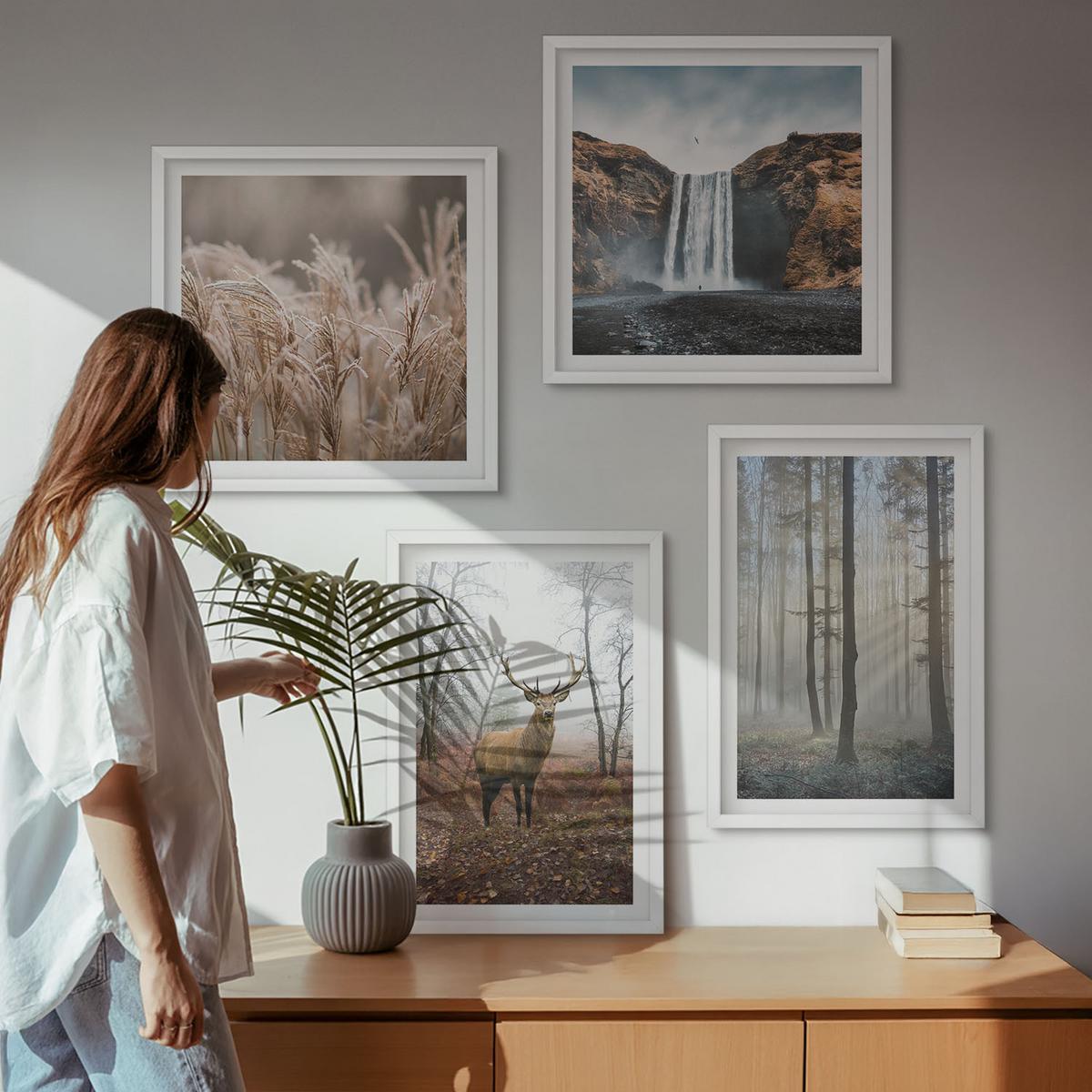 BILDER SET 4er Set - 50x50 cm & 40x60 cm Weißer Rahmen - Waldlandschaften der Wildnis - Weiß, Kunststoff (50/50cm) - TULUP