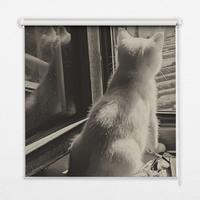 INNENROLLO - Fensterrollo - Rollo - 120x140 cm - Katzen im Fenster - Grau, Kunststoff (120/140/0.5cm) - TULUP