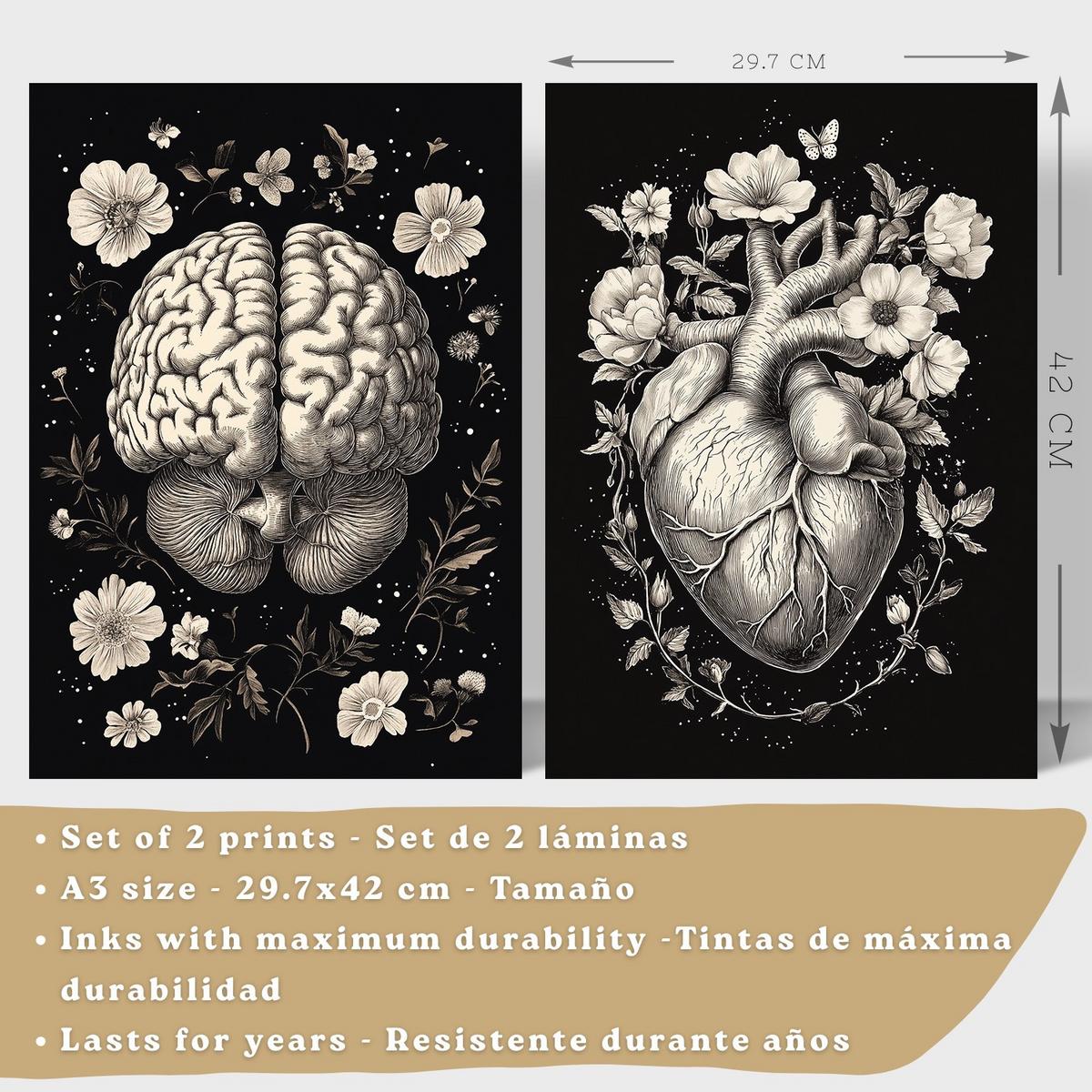 POSTER Set aus 2 Anatomie Mensch Drucke und mit Gehirn und Herz Monochromes Florales Design Schwarzer Hintergrund Größe Leichter Holzrahmen A3 - Beige, Papier (29.7/42/3cm) - Nacnic
