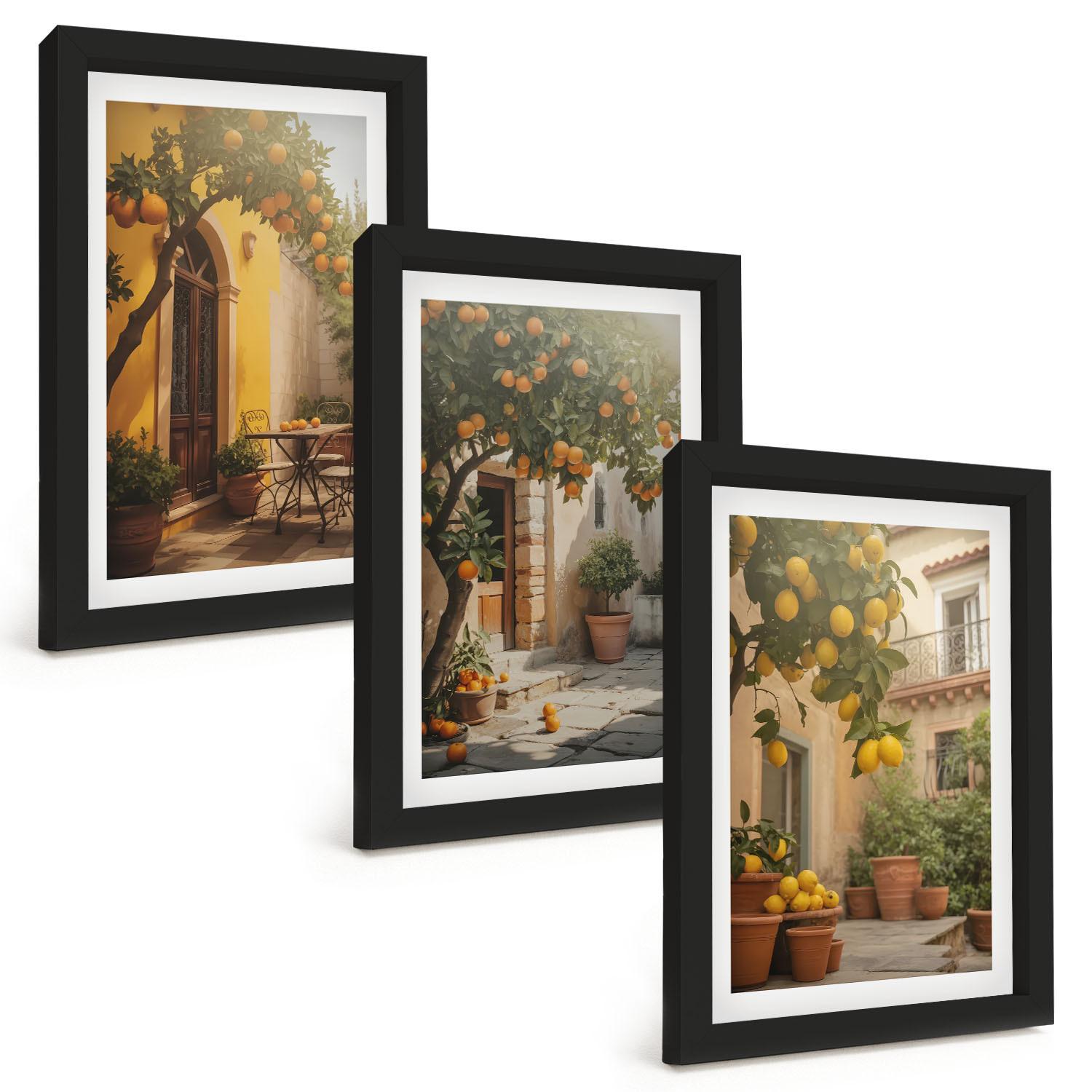 BILDER SET 3er Set - 20x30 cm Schwarzer Rahmen - Zitrustöpfe für sonnige Terrassen - Schwarz, Kunststoff (20/30cm) - TULUP