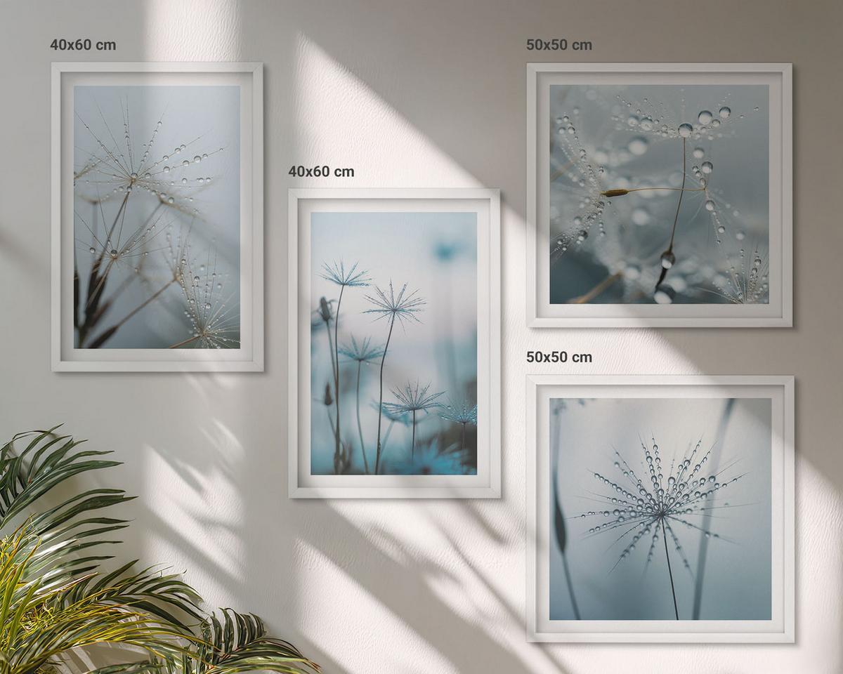 BILDER SET 4er Set - 50x50 cm & 40x60 cm Weißer Rahmen - Löwenzahn-Wassertropfen - Weiß, Kunststoff (50/50cm) - TULUP
