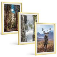 BILDER SET 3er Set - 40x60 cm Goldrahmen - Straße Wald Berge Hirsch Natur - Goldfarben, Kunststoff (40/60cm) - TULUP