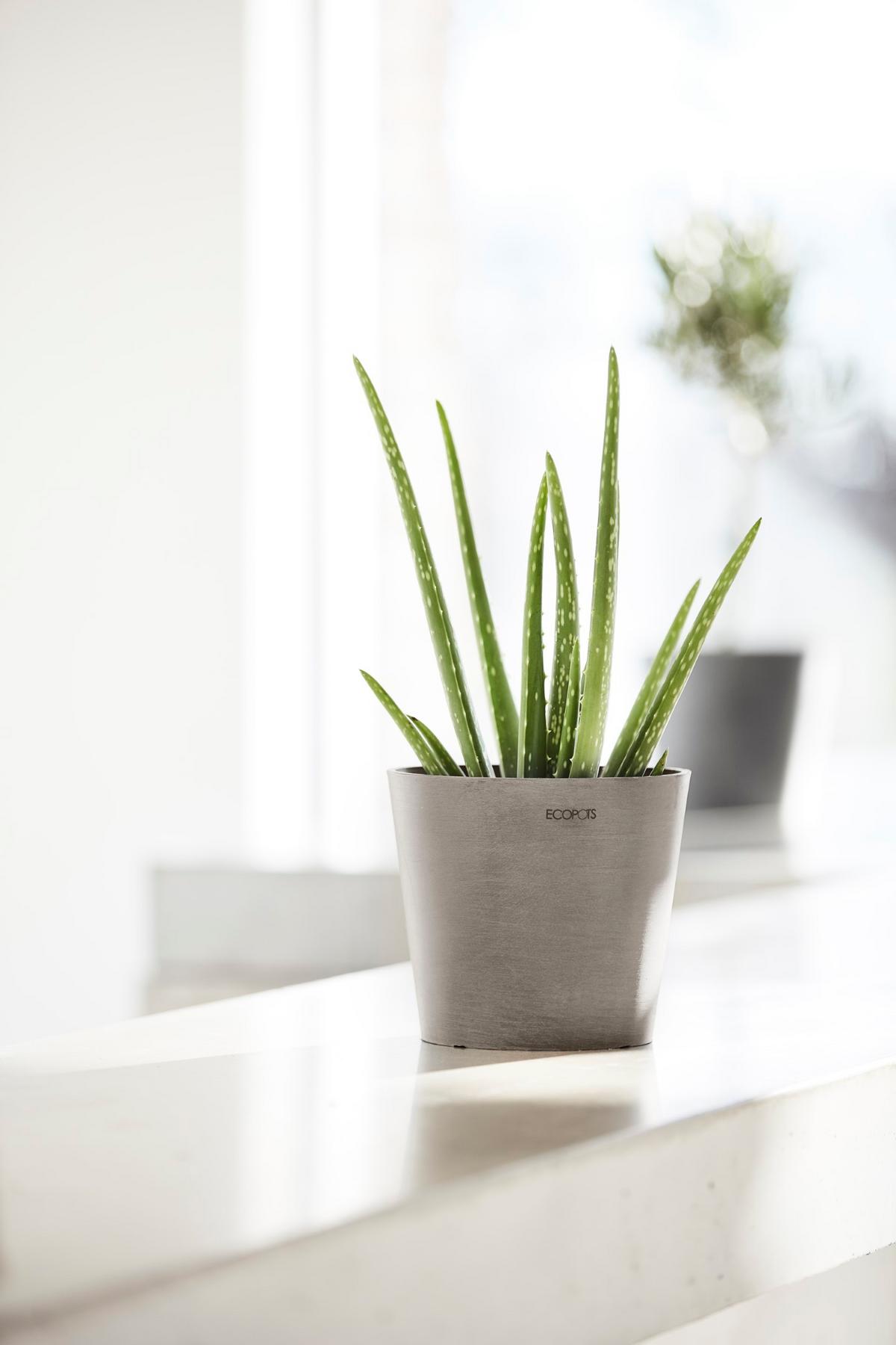 BLUMENTOPF Amsterdam 17/14,7 cm Taupe - Taupe, Kunststoff (17/14.7cm) - Ecopots